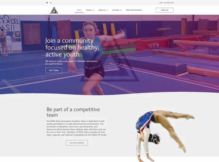PEAK Elite Gymnastics website